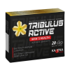 Tribulus Active - таблетки для потенції